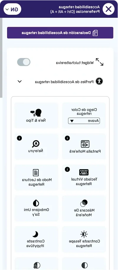 guarani accessibility toolbar